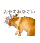 タイニーなプリンちゃん1（個別スタンプ：6）