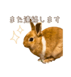 タイニーなプリンちゃん1（個別スタンプ：7）
