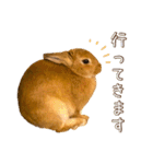 タイニーなプリンちゃん1（個別スタンプ：8）