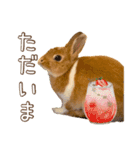 タイニーなプリンちゃん1（個別スタンプ：9）