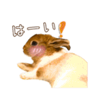 タイニーなプリンちゃん1（個別スタンプ：12）