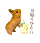 タイニーなプリンちゃん1（個別スタンプ：17）