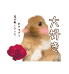 タイニーなプリンちゃん1（個別スタンプ：20）