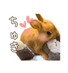 タイニーなプリンちゃん1（個別スタンプ：21）