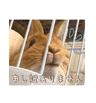 タイニーなプリンちゃん1（個別スタンプ：25）