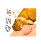 タイニーなプリンちゃん1（個別スタンプ：26）