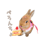 タイニーなプリンちゃん1（個別スタンプ：30）
