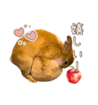 タイニーなプリンちゃん1（個別スタンプ：33）