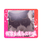 ハチワレライチくん（個別スタンプ：1）