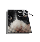 ハチワレライチくん（個別スタンプ：2）