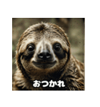 レトロかわいいナマケモノのゆる日和（個別スタンプ：40）
