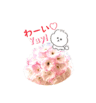 しゃるるまる（個別スタンプ：8）