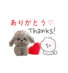 しゃるるまる（個別スタンプ：10）