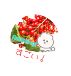 しゃるるまる（個別スタンプ：11）