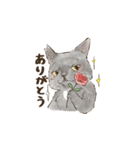 あんこフレンズ あいさつ（個別スタンプ：2）