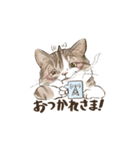 あんこフレンズ あいさつ（個別スタンプ：4）