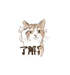 あんこフレンズ あいさつ（個別スタンプ：5）