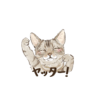 あんこフレンズ あいさつ（個別スタンプ：6）