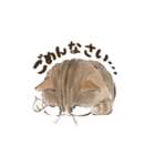 あんこフレンズ あいさつ（個別スタンプ：7）