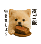 お誘いワンコ（個別スタンプ：4）