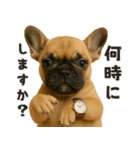 お誘いワンコ（個別スタンプ：5）