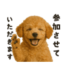 お誘いワンコ（個別スタンプ：9）