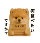 お誘いワンコ（個別スタンプ：11）