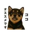 お誘いワンコ（個別スタンプ：13）