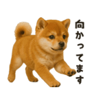 お誘いワンコ（個別スタンプ：16）