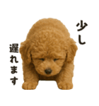 お誘いワンコ（個別スタンプ：17）