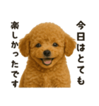 お誘いワンコ（個別スタンプ：22）