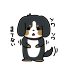 かまちょスタンプ(バーニー)（個別スタンプ：3）