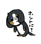 かまちょスタンプ(バーニー)（個別スタンプ：7）