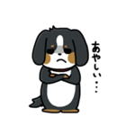かまちょスタンプ(バーニー)（個別スタンプ：9）