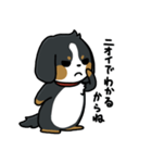 かまちょスタンプ(バーニー)（個別スタンプ：10）