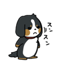 かまちょスタンプ(バーニー)（個別スタンプ：11）