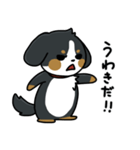 かまちょスタンプ(バーニー)（個別スタンプ：12）
