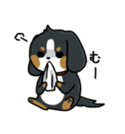 かまちょスタンプ(バーニー)（個別スタンプ：13）