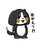 かまちょスタンプ(バーニー)（個別スタンプ：23）