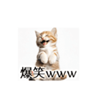 とにかく動く猫【日常/あいさつ】（個別スタンプ：1）