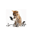 とにかく動く猫【日常/あいさつ】（個別スタンプ：3）