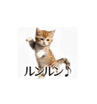とにかく動く猫【日常/あいさつ】（個別スタンプ：7）