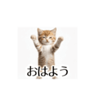 とにかく動く猫【日常/あいさつ】（個別スタンプ：9）