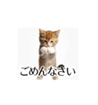 とにかく動く猫【日常/あいさつ】（個別スタンプ：12）