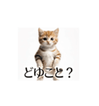 とにかく動く猫【日常/あいさつ】（個別スタンプ：14）