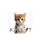 とにかく動く猫【日常/あいさつ】（個別スタンプ：15）