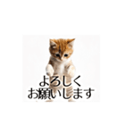 とにかく動く猫【日常/あいさつ】（個別スタンプ：18）