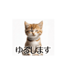 とにかく動く猫【日常/あいさつ】（個別スタンプ：20）