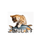 とにかく動く猫【日常/あいさつ】（個別スタンプ：21）