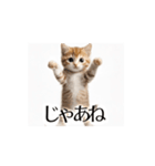 とにかく動く猫【日常/あいさつ】（個別スタンプ：23）